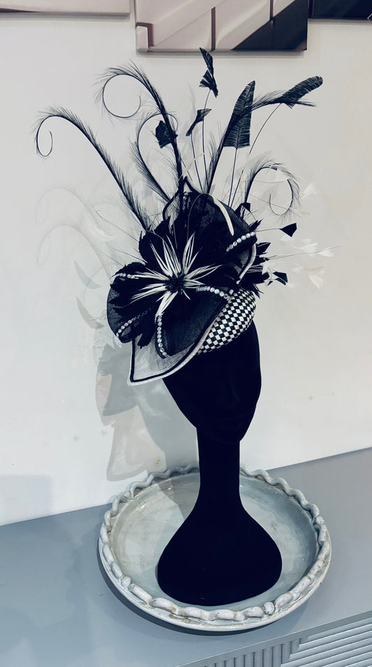 Black and White Hatinator